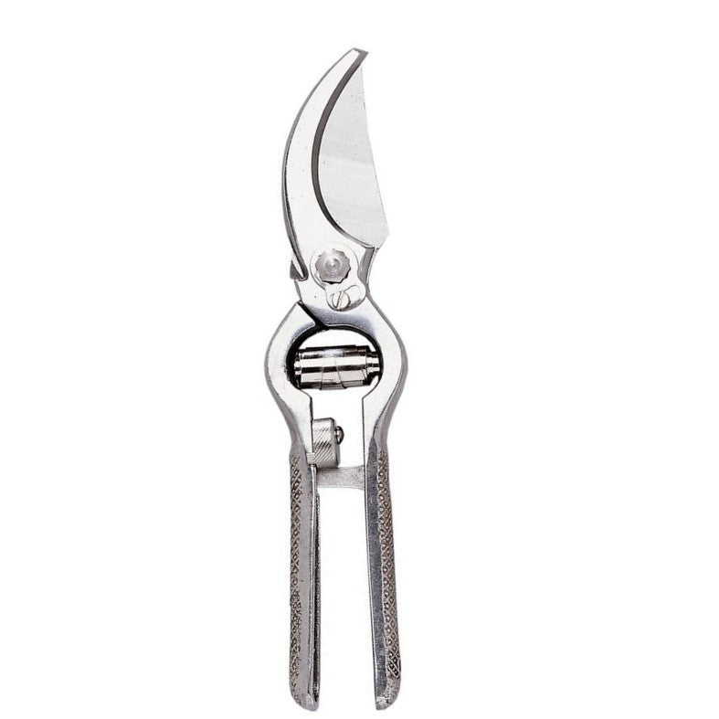 Ausonia - Forbici Trinciapollo - Vigna - inox 23 cm