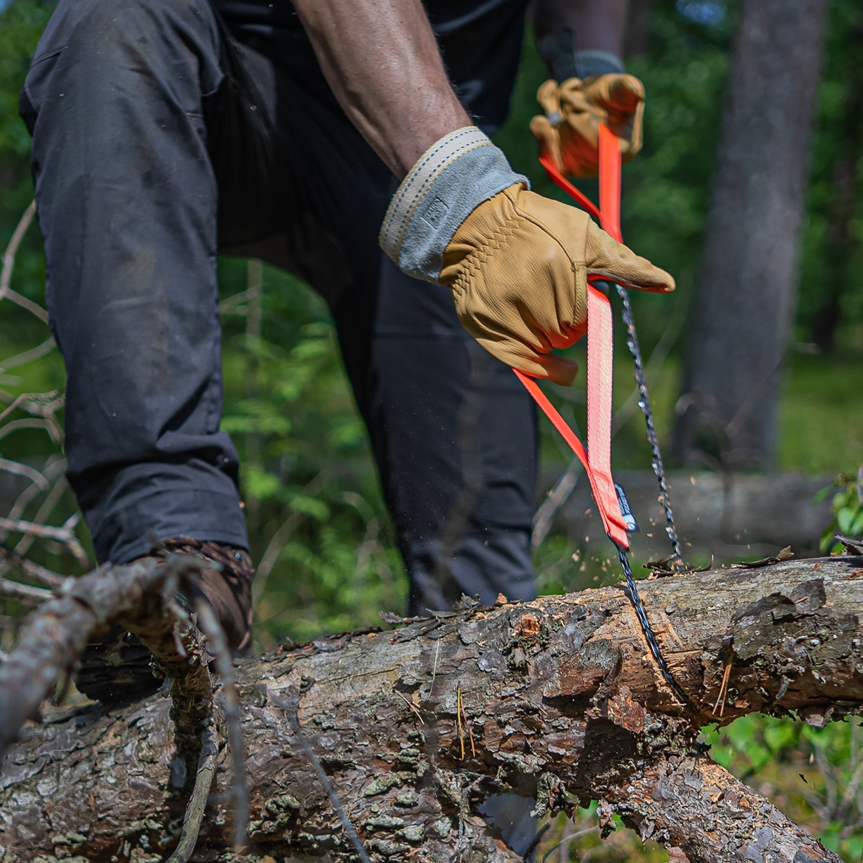 Sega Nordica da bosco - Per Taglio Alberi a mano